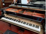 ACCORDATORE DI PIANOFORTI MONZA E BRIANZA