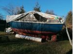 Motorsailer Tortuga 27