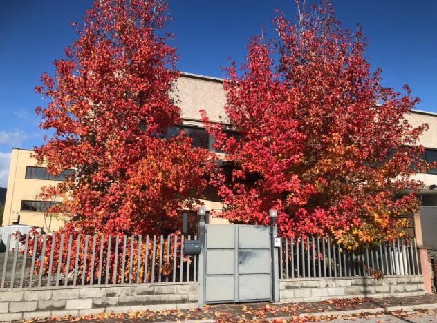 Appartamento in vendita a Cascina 200 mq Rif: 1290612