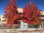 Appartamento in vendita a Cascina 200 mq  Rif: 1290612