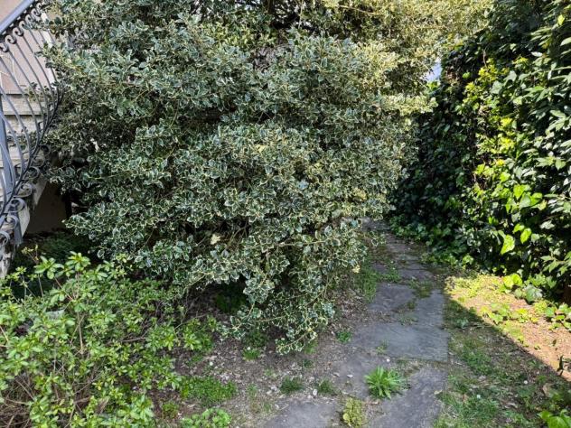 Villa in vendita a Cervaiolo - Montignoso 280 mq Rif: 1407514 - Foto 5