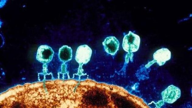 Lezioni di Biologia e Genetica a studenti delle scuole superiori e universitari