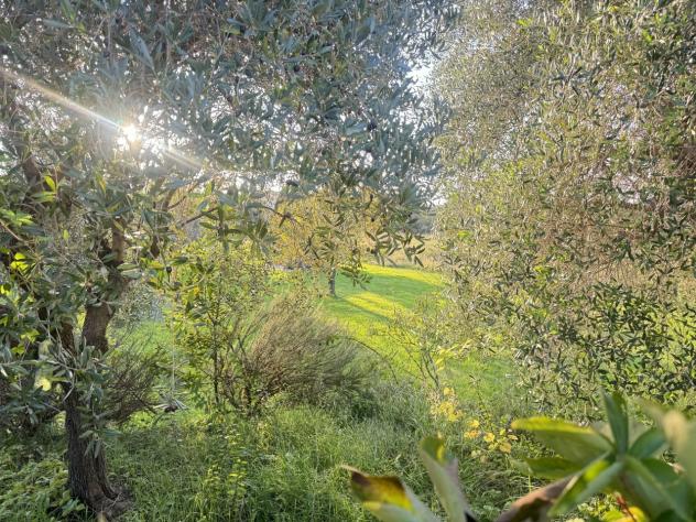 Terreno edificabile in vendita a Pietrasanta - Foto 3