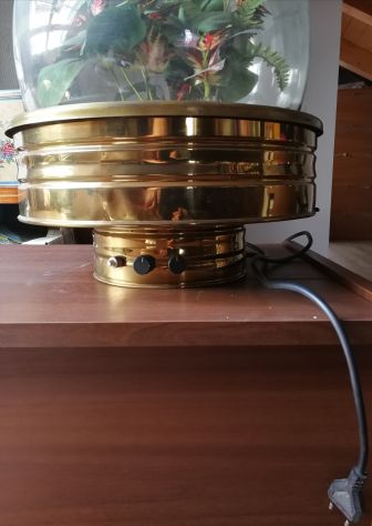 ACQUARIO CON LAMPADA ED AERATORE - Foto 2