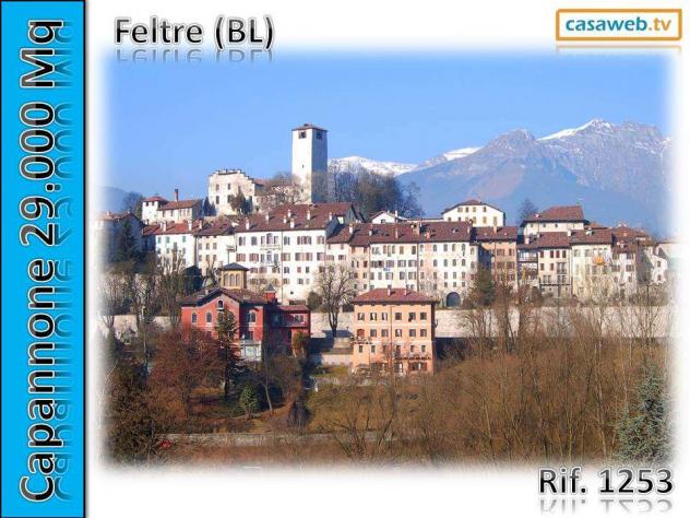 1253 - Capannone a Borgo Valbelluna - Foto 8