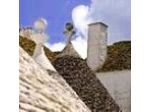 Le Alcove Luxury Hotel nei Trulli