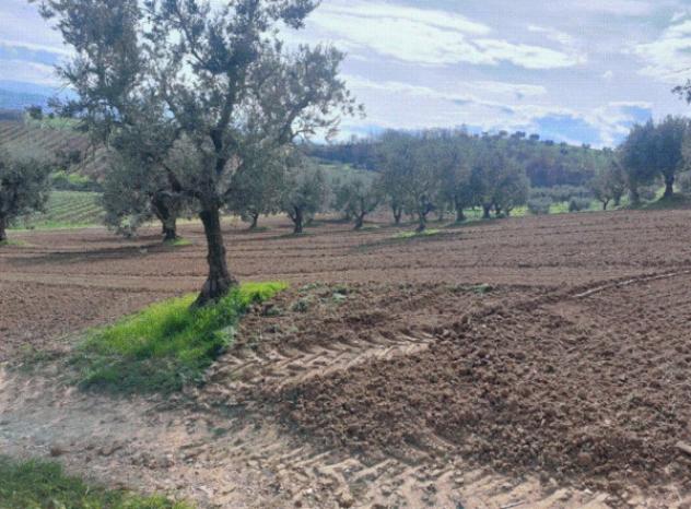 Immobile in asta di 4 m² in vendita a Altomonte - Foto 11