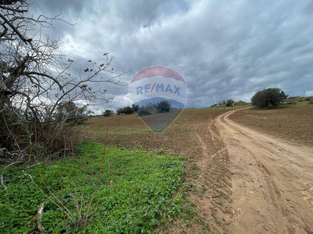 Terreno in vendita a Caltagirone - Foto 3