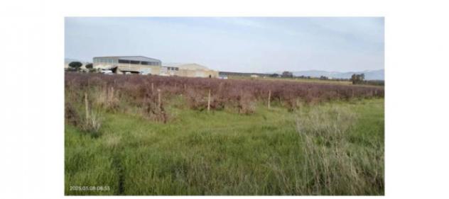 Immobile in asta di 31385 m² in vendita a Piombino - Foto 2