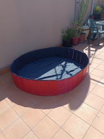 Piscina terrazzo per cani XXL - Foto 4