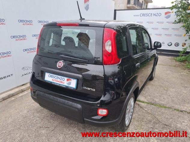 FIAT Panda 1.0 FireFly S&S Hybrid Pandina - AZIENDALE rif. 23794277 - Foto 9