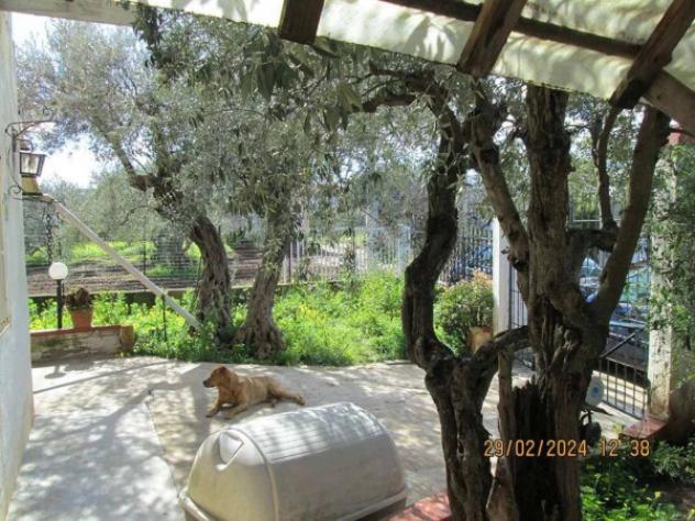 Immobile in asta di 123 m² con più di 5 locali in vendita a Partinico - Foto 2