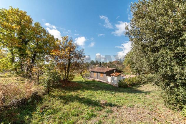 Terreno in vendita a Adrano - Foto 19