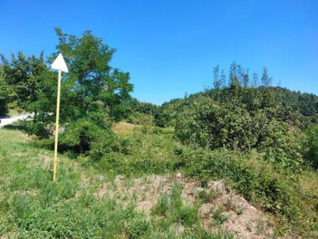 Immobile in asta di 10550 m² in vendita a Pietrabbondante - Foto 8