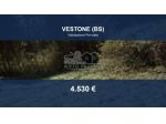 Immobile in asta di 6590 m² in vendita a Vestone