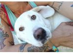 Casper