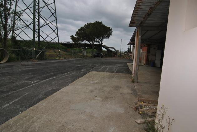 Capannone / Fondo in affitto a Collesalvetti - Foto 10
