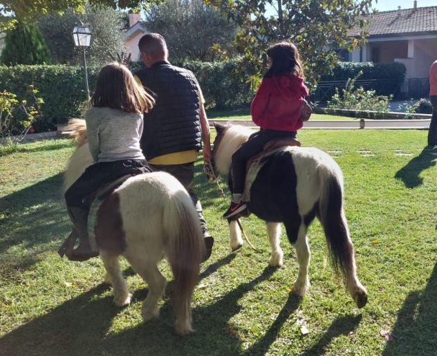 Festa con Pony – Emozioni, Gioia e Coccole
