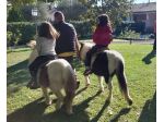 Festa con Pony – Emozioni, Gioia e Coccole