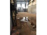 Capannone artigianale in vendita a Mirteto - Massa 1000 mq  Rif: 1134640