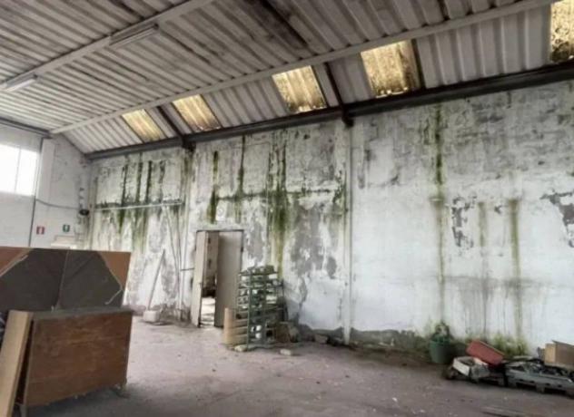 Immobile in asta di 270 m² in vendita a San Pietro di Morubio - Foto 7