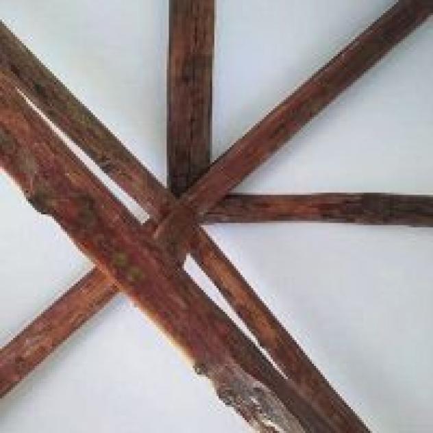 Azienda Agricola La Barberina di Martina Campregher - Foto 4