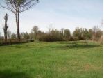 Terreno agricolo in vendita a Lazzeretto - Cerreto Guidi 42000 mq  Rif: 1296719
