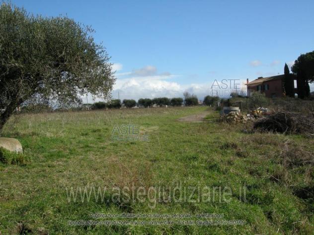 IMMOBILI-ALTRA CATEGORIA-via Giovanni Prati, Località Santa Maria delle Mole. - Foto 4