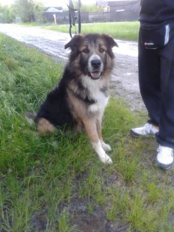 BLONDI, stupendo mix - Foto 5