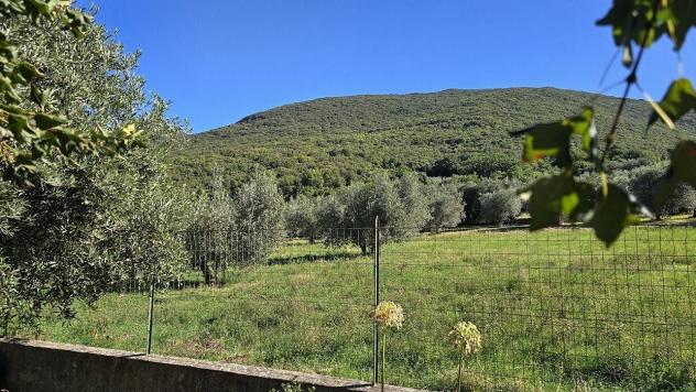 Terratetto in vendita a Guardea - Foto 7