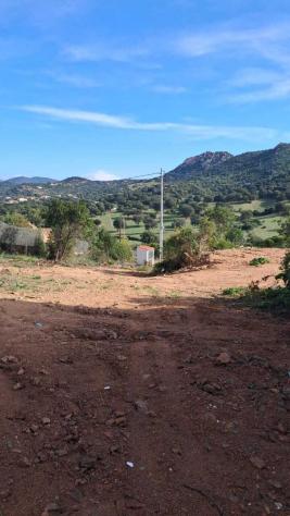 Quadrilocale in vendita a Loiri Porto San Paolo - Foto 3