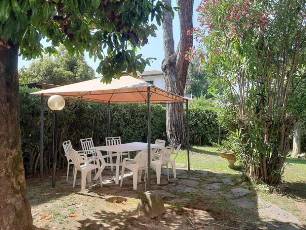 Open Space in affitto a Lido di Camaiore - Camaiore 35 mq Rif: 1033109