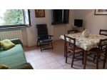 Appartamento in affitto a Caletta - Rosignano Marittimo 40 mq  Rif: 1402957
