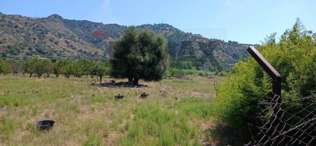 Terreno in vendita a Calatabiano - Foto 7