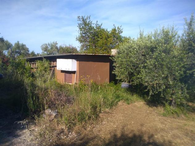 LANUVIO - Foto 5