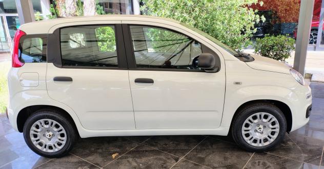 FIAT Panda 1.0 FireFly 70cv S&S Hybrid - Foto 7