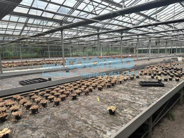 Immobile di 5000 m² in affitto a Brescia - Foto 4