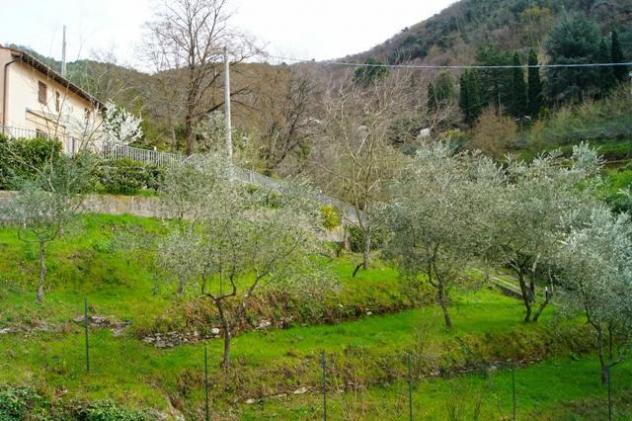 Casale in vendita a Molina di Quosa - San Giuliano Terme 700 mq Rif: 1445066 - Foto 6