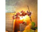 B&B Stephany Tirano
