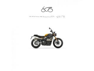 TRIUMPH STREET SCRAMBLER 900 Scrambler 900 2026