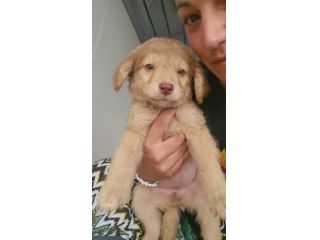 CRISSY: 3 mesi taglia contenuta