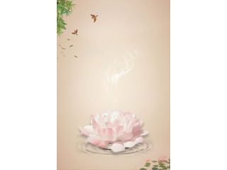 Massaggi - benessere Bologna - Massaggi a Offerta Libera - Bologna Tel:3772310760
