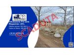 Immobile in asta di 250 m² in vendita a Crocetta del Montello