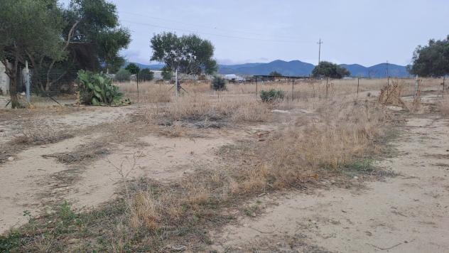 Agricolo in vendita a Quartucciu - Foto 9