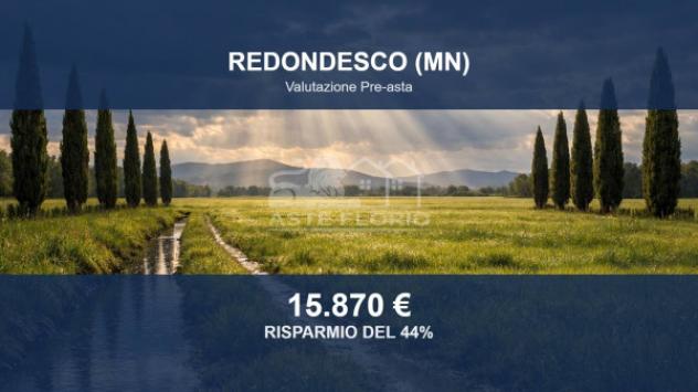 Immobile in asta di 4310 m² in vendita a Redondesco