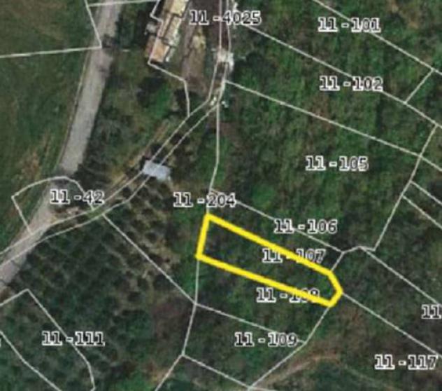 Immobile in asta di 9105 m² in vendita a Torricella Peligna - Foto 10