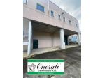 MQ 600 FONTE NUOVA ZONA INDUSTRIALE, Rif.V-268.