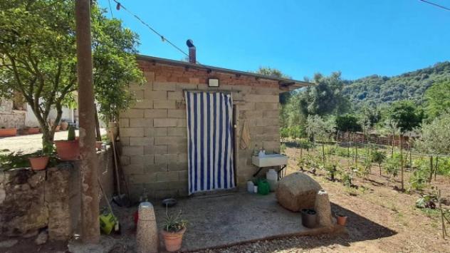 Immobile in asta di 420 m², box auto in vendita a Feroleto della Chiesa - Foto 2