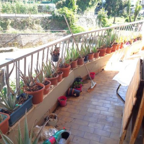 Rif. 4000 – Rapallo – Via Castagneto – Zona Funivia – Ampio Bilocale di 60 mq - Foto 10