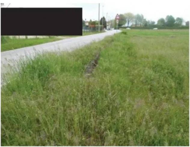 Immobile in asta di 29838 m² in vendita a Paese - Foto 7